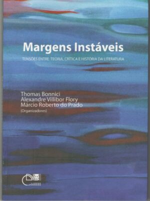 Margens instáveis: tensões entre teoria, critica e história da literatura