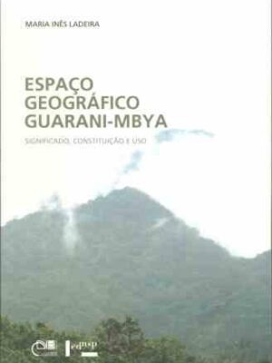 Espaço geográfico guarani-mbya: significado, constituição e uso