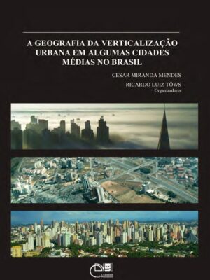 A Geografia da verticalização urbana em algumas cidades médias no Brasil