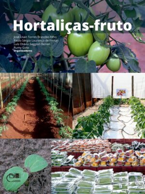 Hortaliças-fruto