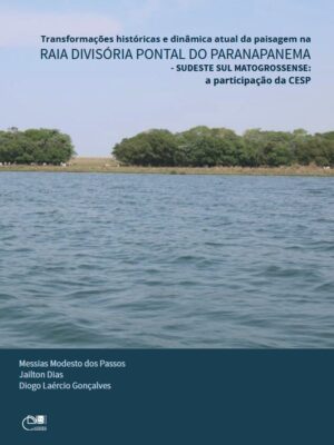 Transformações históricas e dinâmica atual da paisagem na raia divisória Pontal do Paranapanema - sudeste sul-matogrossense: a participação da CESP